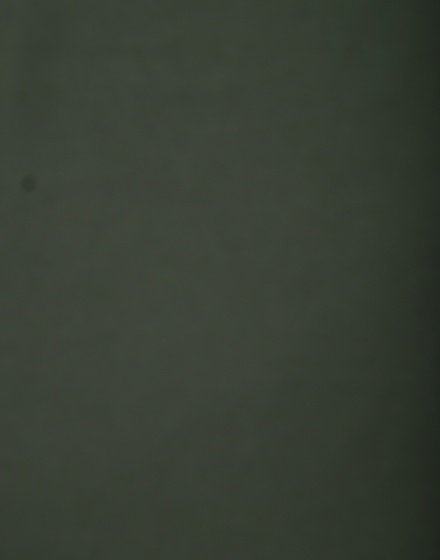 Дамски потник C&A